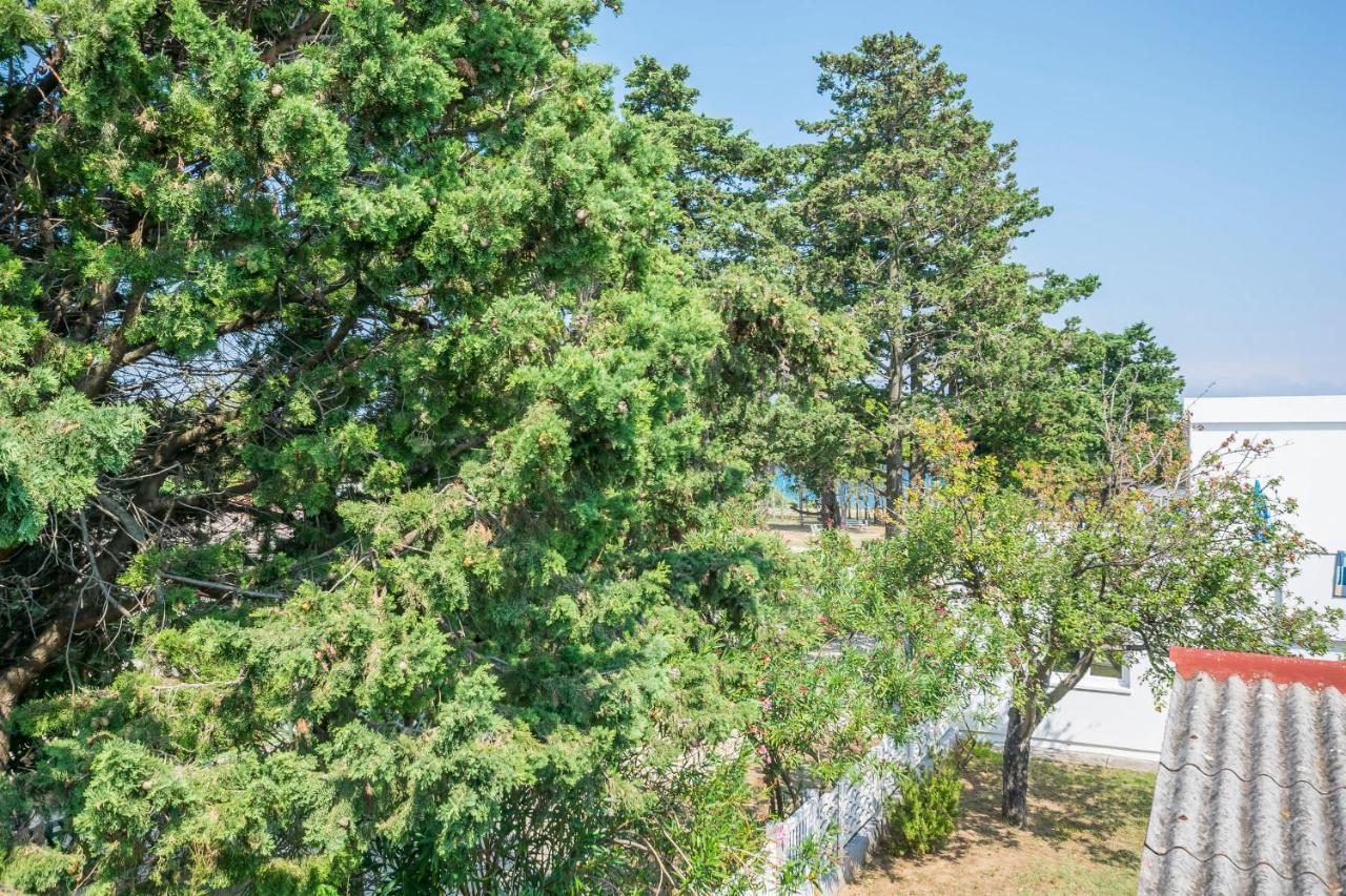 Apartments Mira Privlaka  Eksteriør bilde